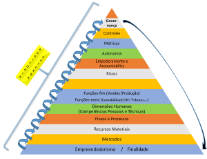 sustentabilidade organizacional